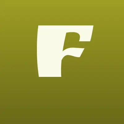Формула безопасности, многопрофильная компания, лого-визитка